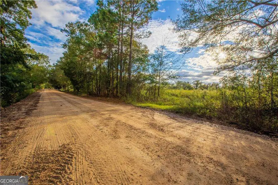 284 Barrett Road, Sparks, GA 31647 - #3