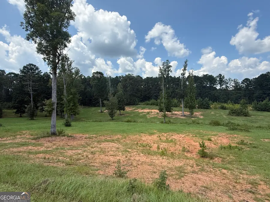 LOT C6 Champions Drive, Forsyth, GA 31029 - #2