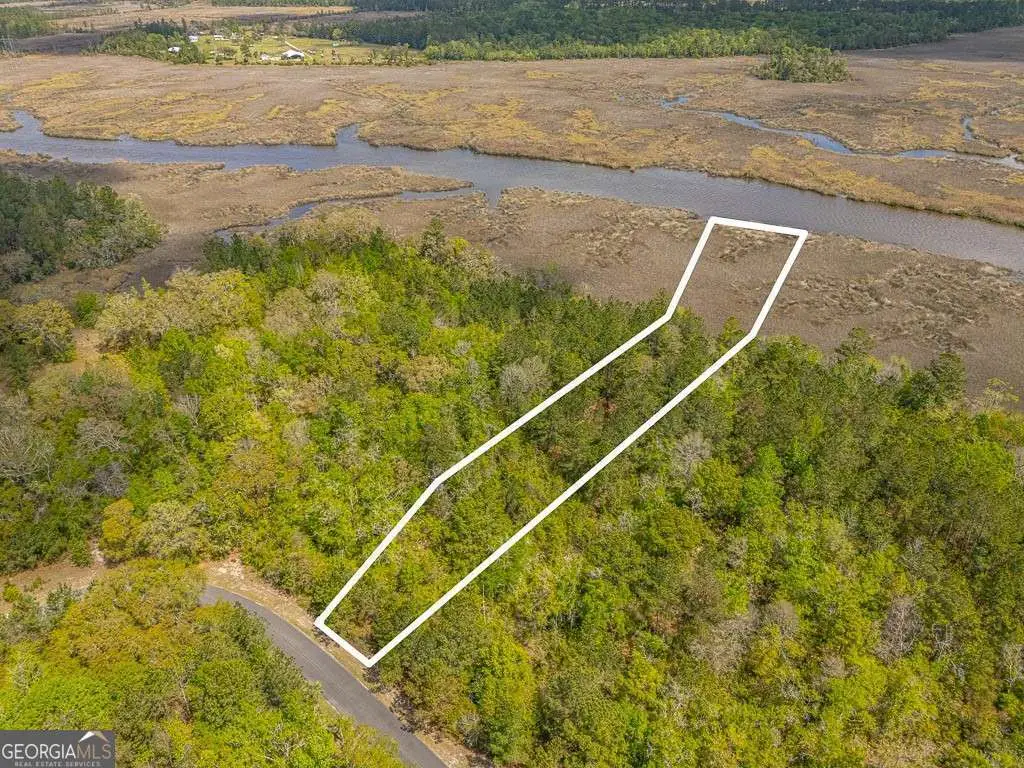 LOT 46 Waverly Lane, White Oak, GA 31568 - #1