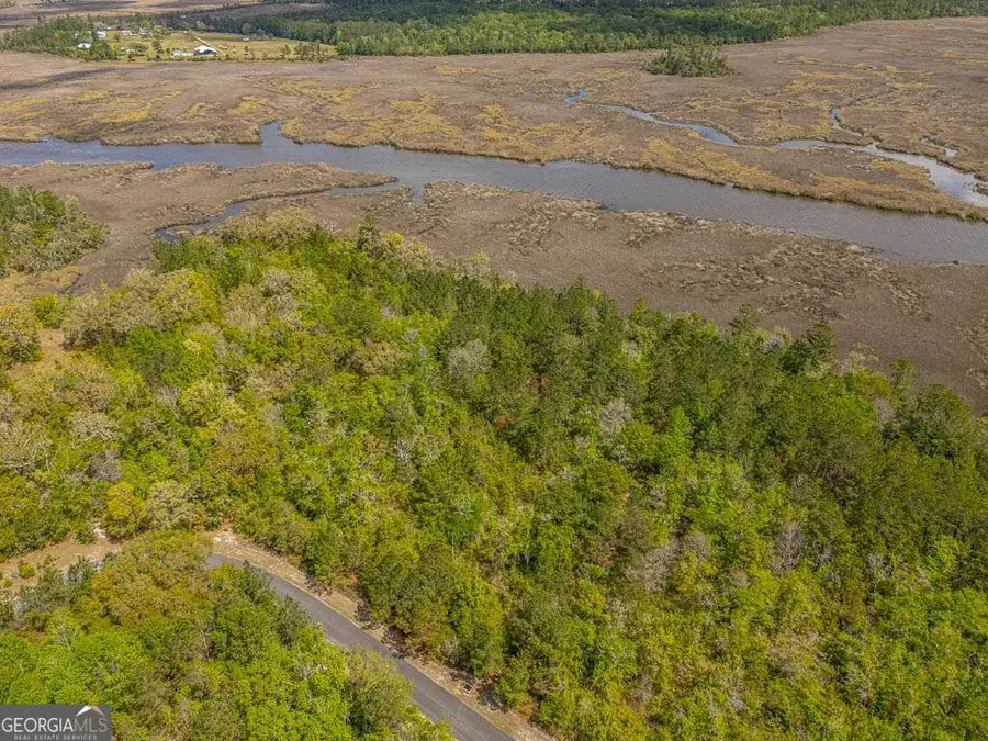 LOT 46 Waverly Lane, White Oak, GA 31568 - #2