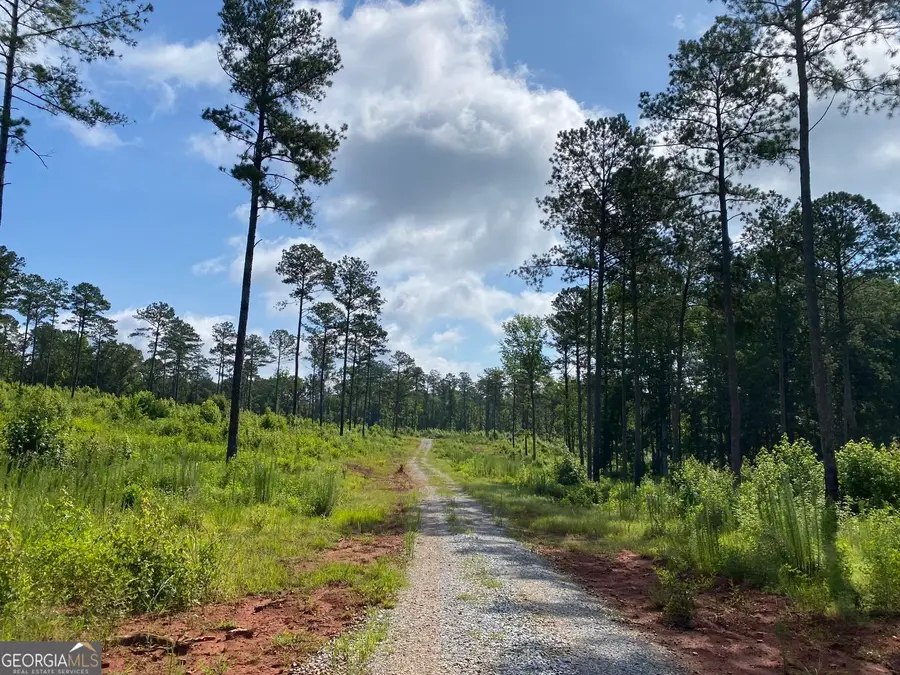 LOT 3 Giles Road, Forsyth, GA 31029 - #2