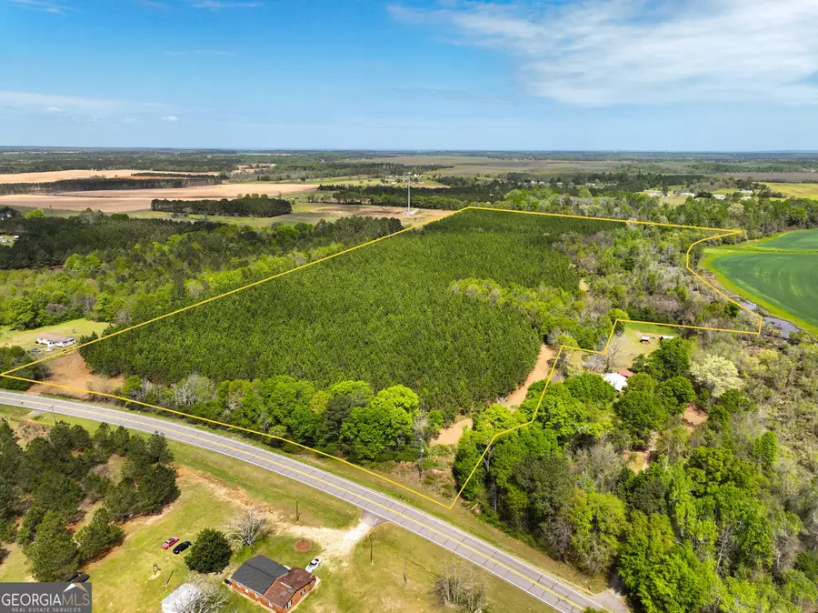 0 Hwy 26, Hawkinsville, GA 31036 - #2