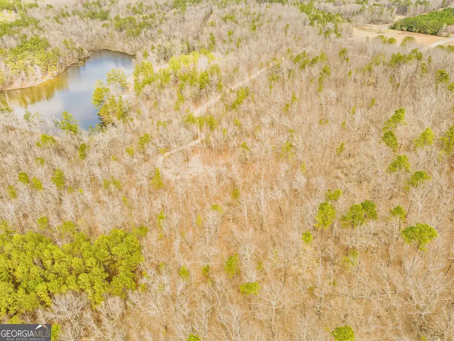 2943 Weems Road, Molena, GA 30258 - #3