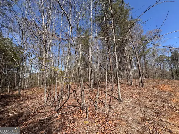 0 Highway 129 N, Cleveland, GA 30528