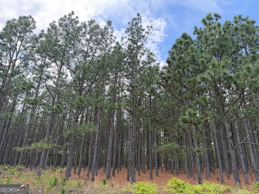 012 Barge Road, Lumpkin, GA 31815 - #3