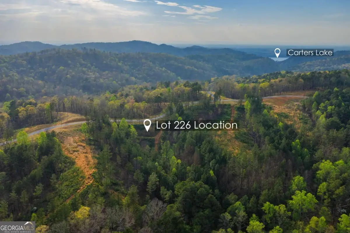 LOT 226 West Vista Ridge Parkway, Talking Rock, GA 30175 - #1