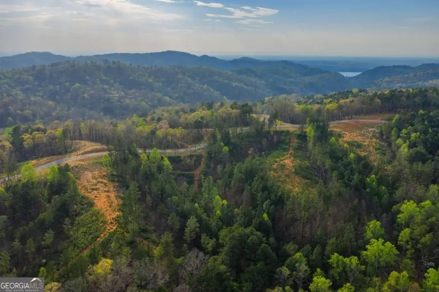 LOT 226 West Vista Ridge Parkway, Talking Rock, GA 30175 - #3