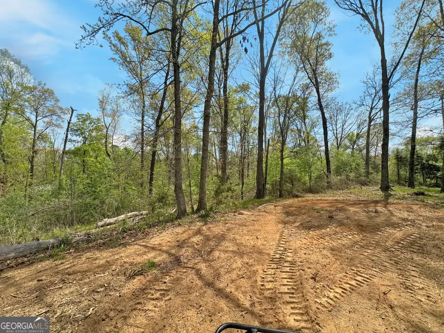 0 Broad River Road, Eastanollee, GA 30538 - #3