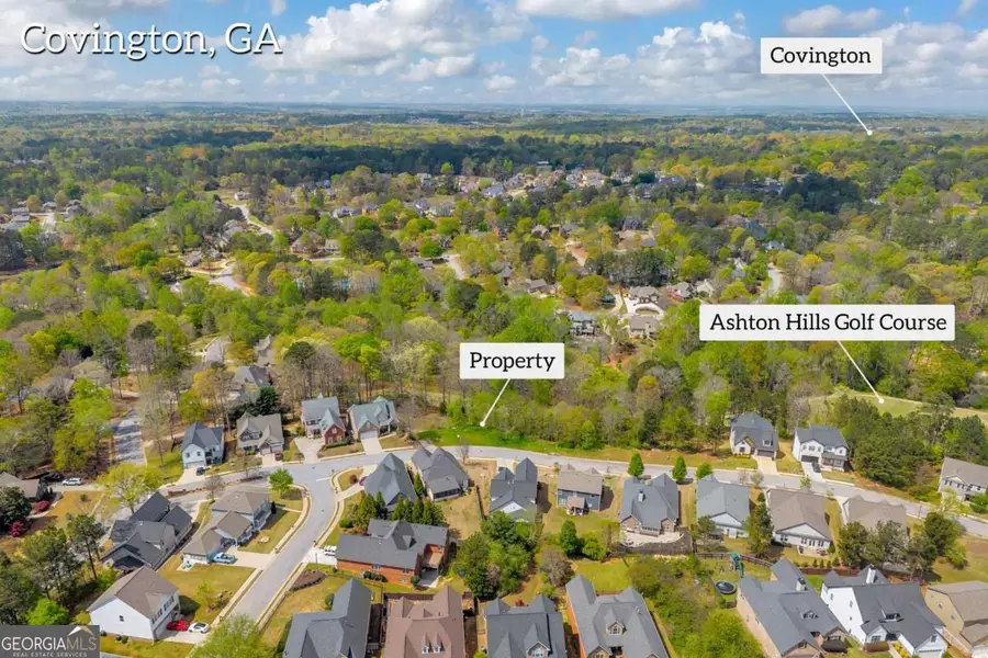 9131 Golfview Lane, Covington, GA 30014 - #3