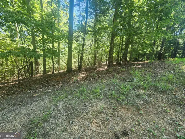 LOT 3 Meadow View Drive #3, Morganton, GA 30560