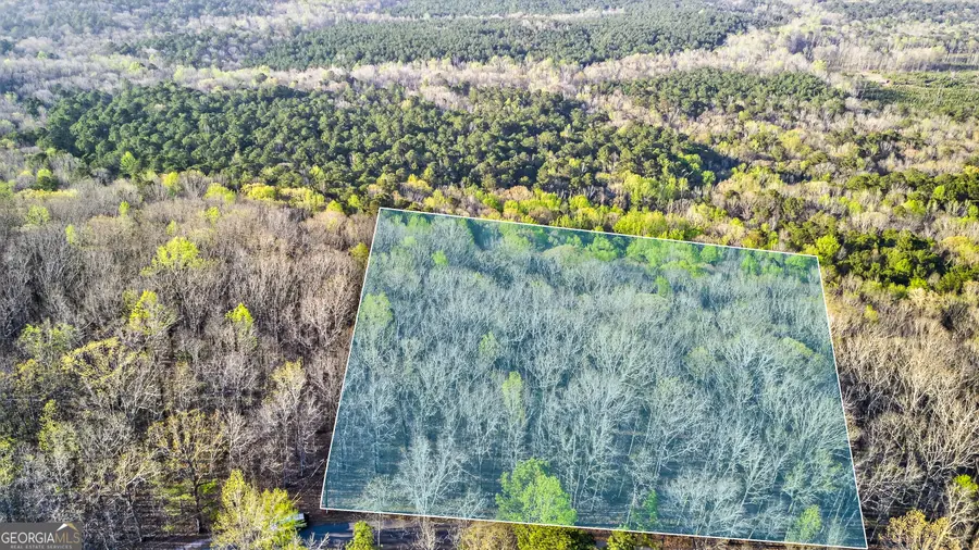 909 Weeding Cherry Drive, Waverly Hall, GA 31831 - #3