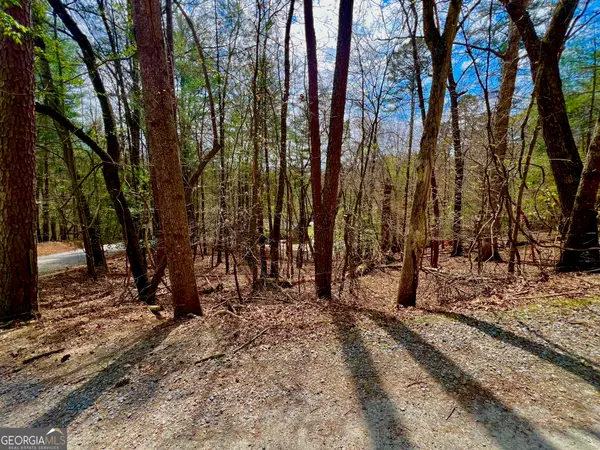 525 Camber Court, Ellijay, GA 30540