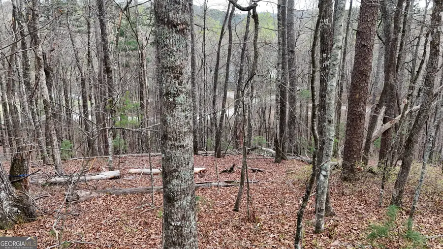LOT 8 Settlement Lane, Tiger, GA 30576 - #2