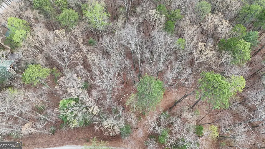 LOT 8 Settlement Lane, Tiger, GA 30576 - #3