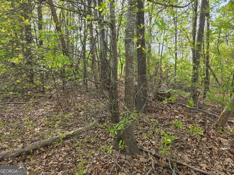 LOT 77 Lake Club Circle, Lavonia, GA 30553 - #2