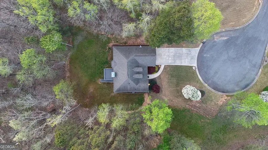 406 Mistflower Court, Ball Ground, GA 30107 - #3