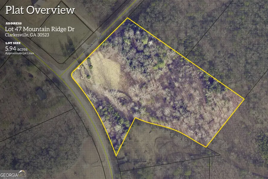 LOT 47 Mountain Ridge Drive, Clarkesville, GA 30523 - #2