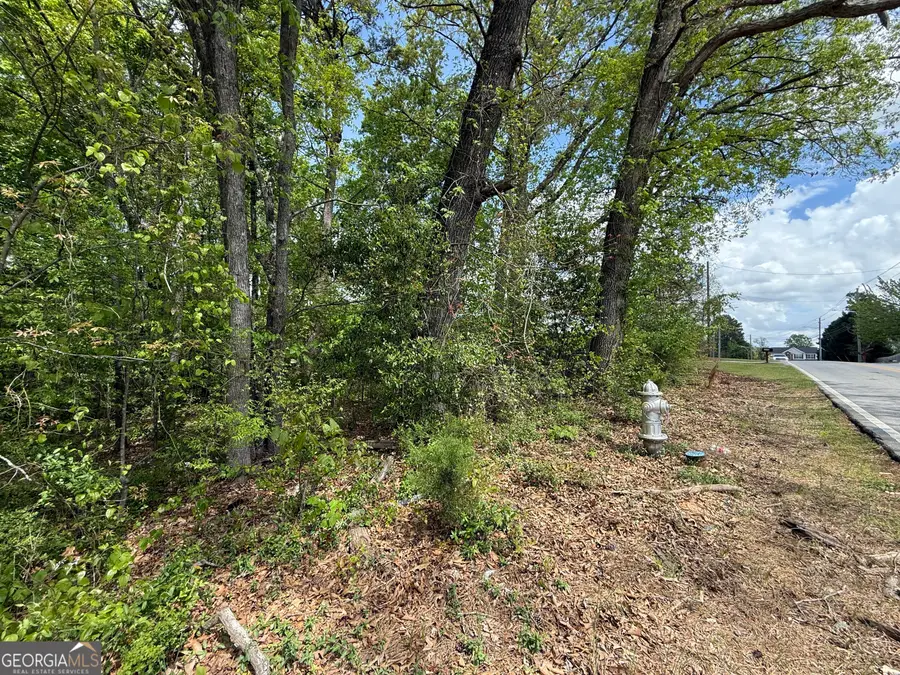 1868 Cedar Grove Road, Conley, GA 30288 - #3