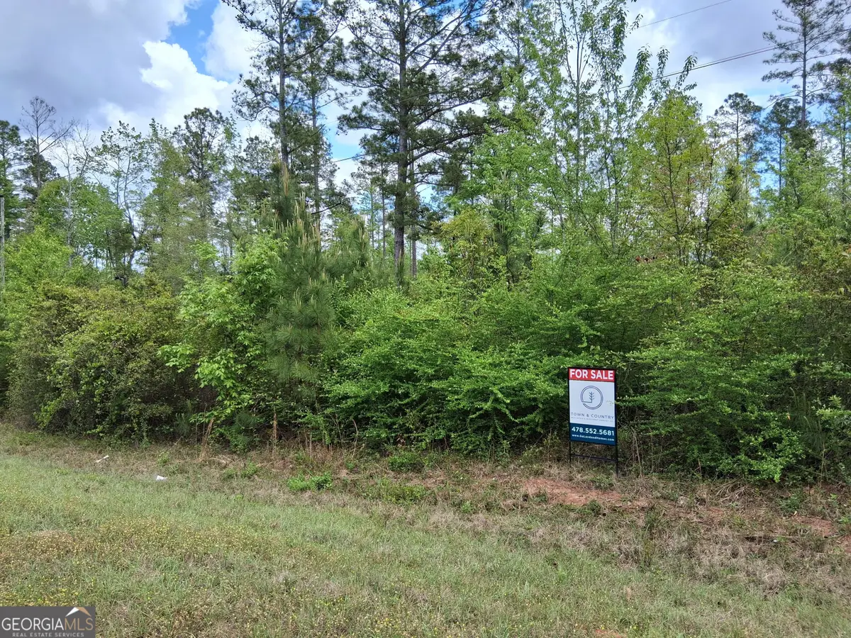 7913 Tennille Oconee Road, Tennille, GA 31089 - #1