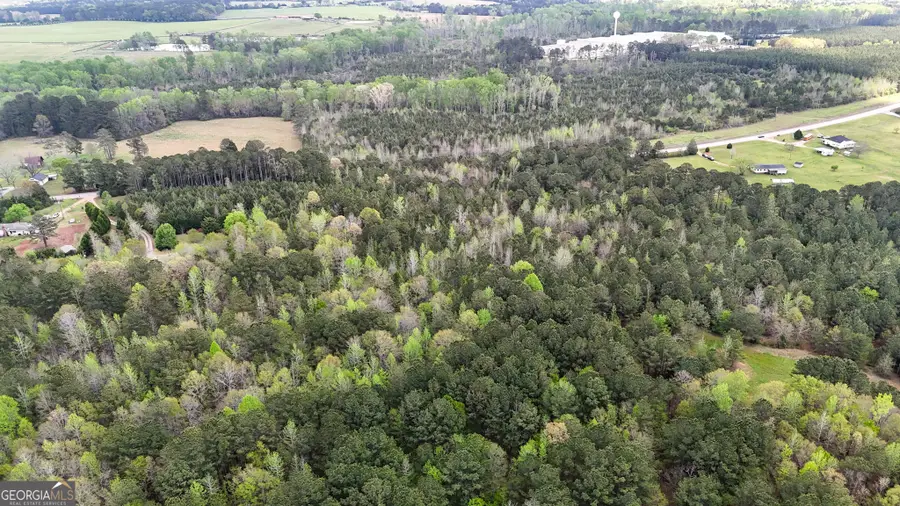 0 Hamilton Road, Pine Mountain, GA 31822 - #3