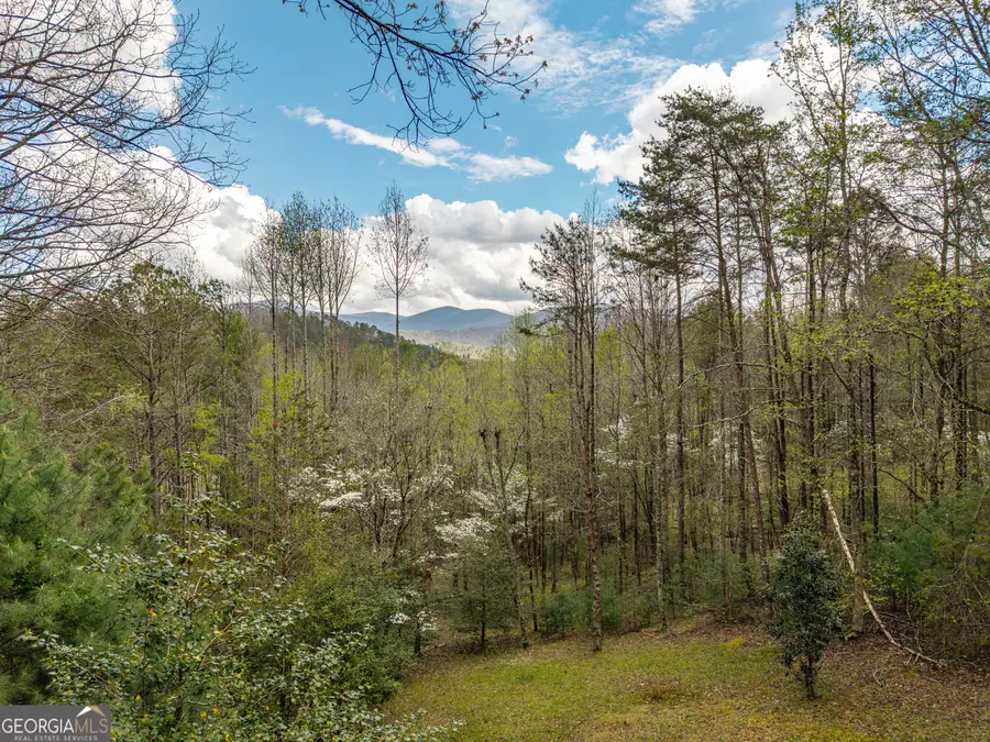238 Cedar Ridge Road, Cherry Log, GA 30522 - #2