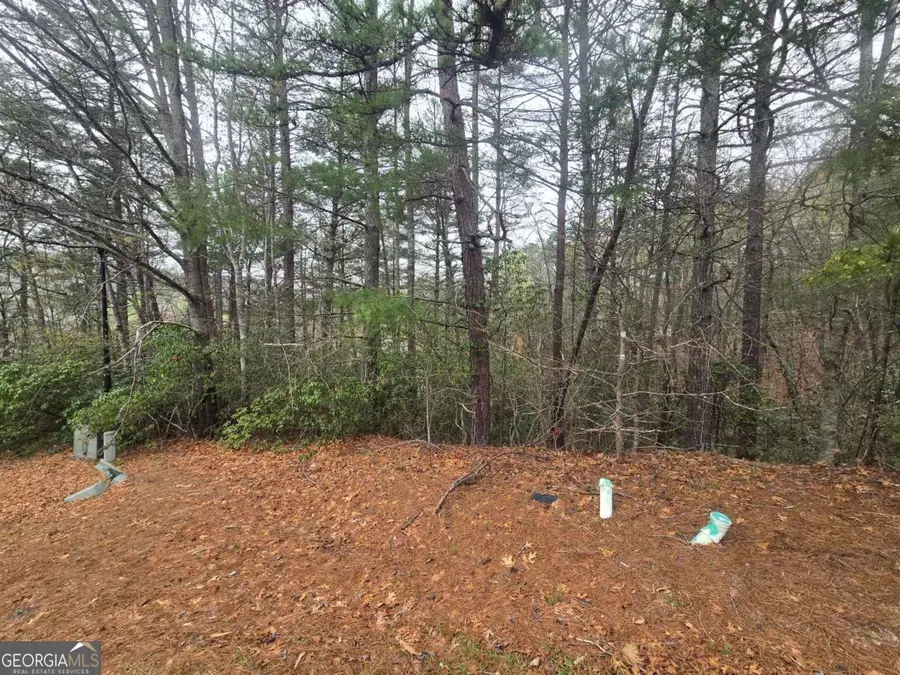 35 Vienna Ring, Helen, GA 30545 - #2