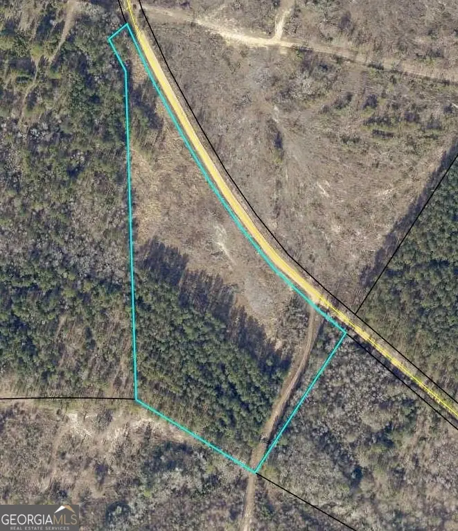 0 Old Dellwood Road, Swainsboro, GA 30401 - #2