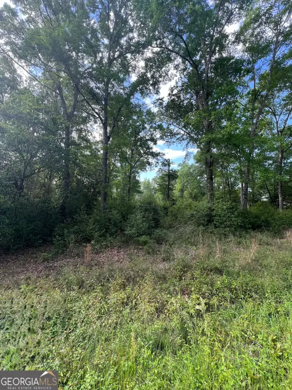 0 Cork Ferry Road, Cordele, GA 31015