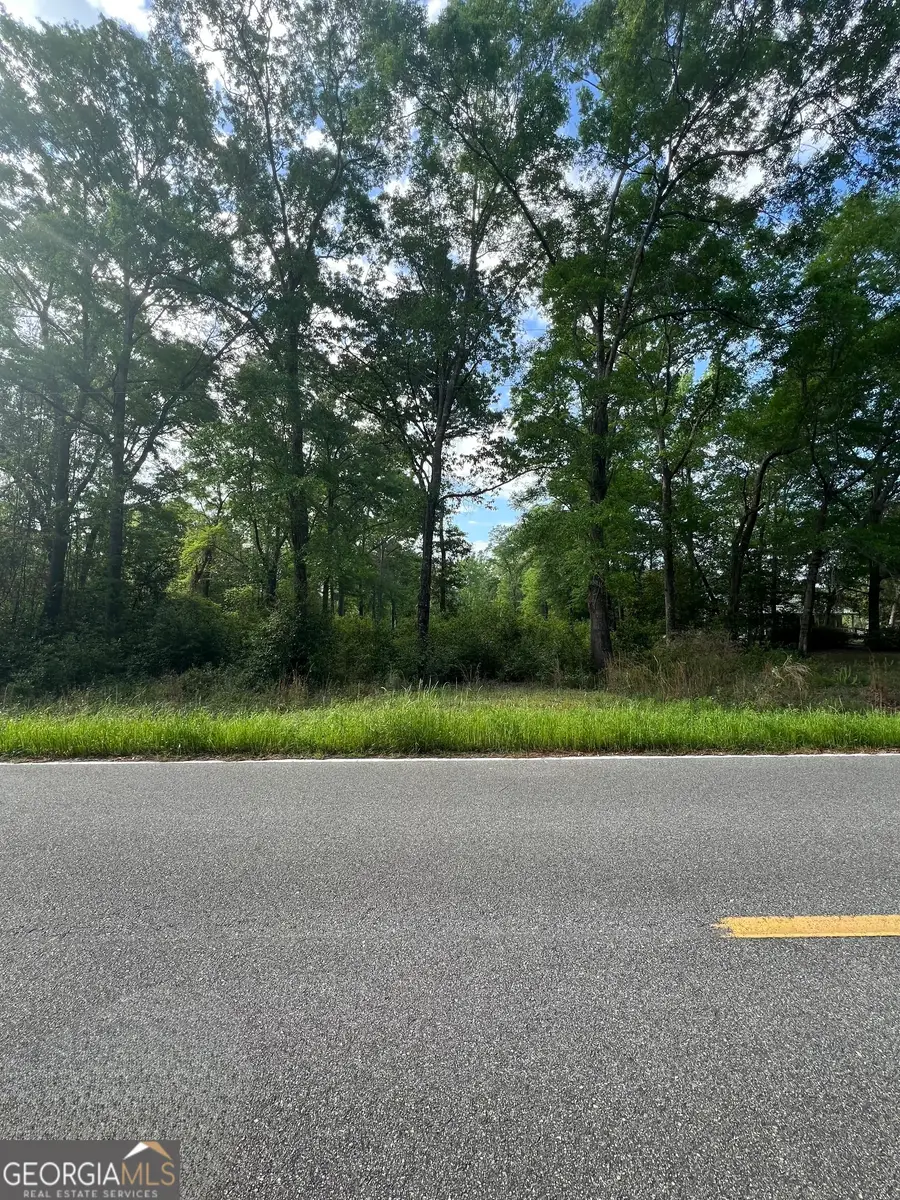 0 Cork Ferry Road, Cordele, GA 31015 - #3