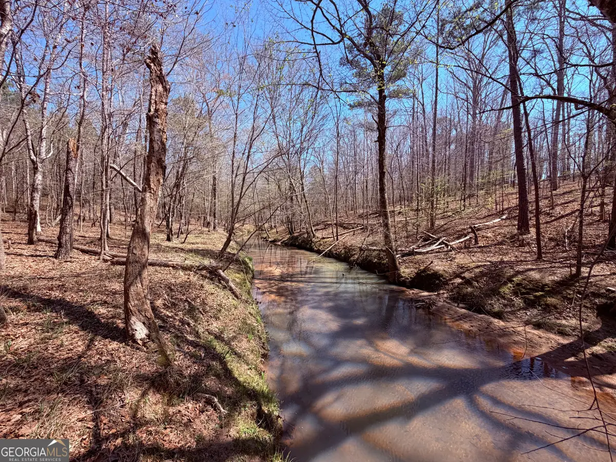 0 Carr Station Road, Sparta, GA 31087 - #1