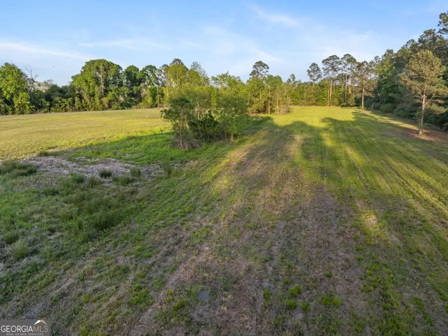 0 Anthony Street, Baxley, GA 31513 - #2