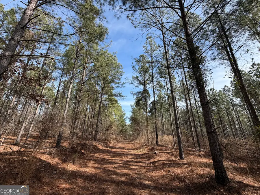 250 Linton Rd., Milledgeville, GA 31061 - #3