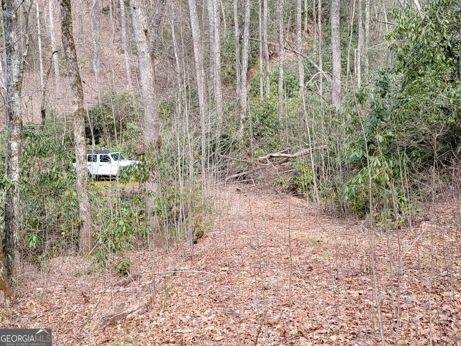 0 Bald Mountain #55,57, Dillard, GA 30537 - #2