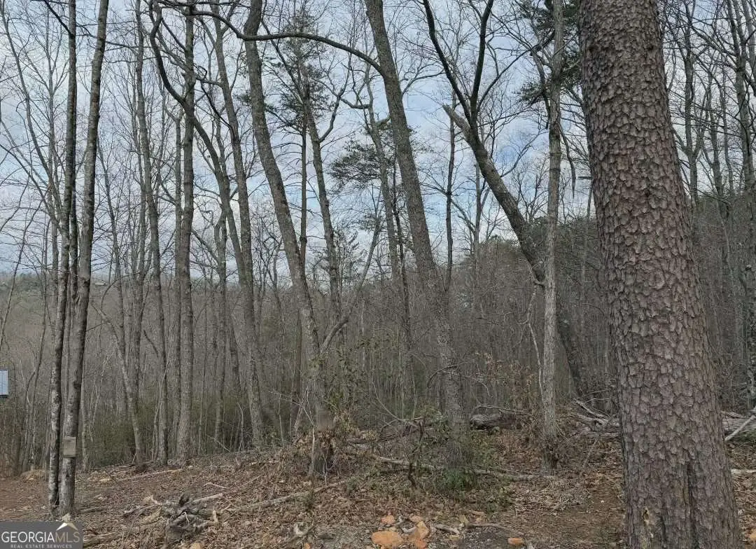 TRACT B2 Mountain Ridge #TRCTB-2, Blue Ridge, GA 30513 - #1