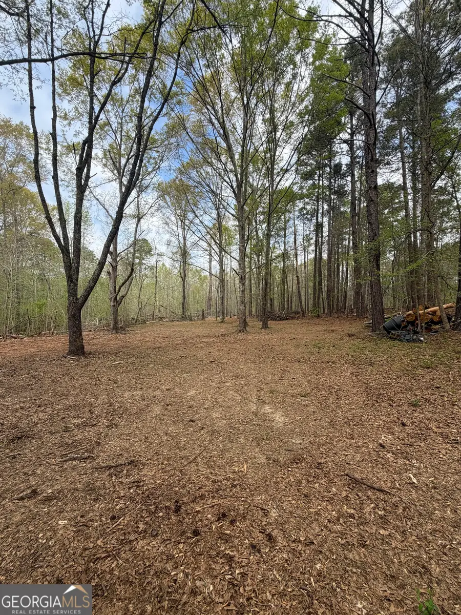 0 Oak Road, Jenkinsburg, GA 30234 - #2