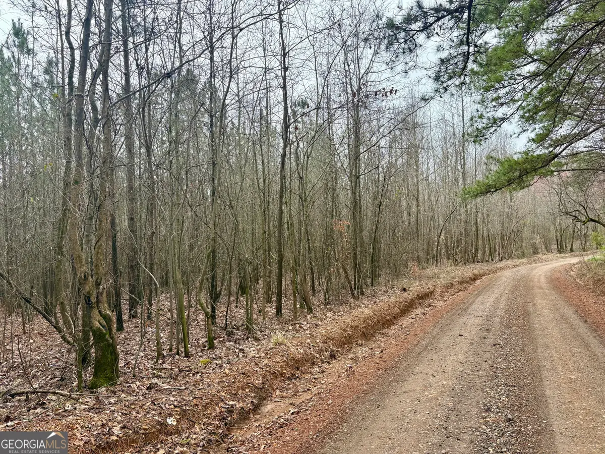 0 County Road 670, Ranburne, AL 36273 - #1