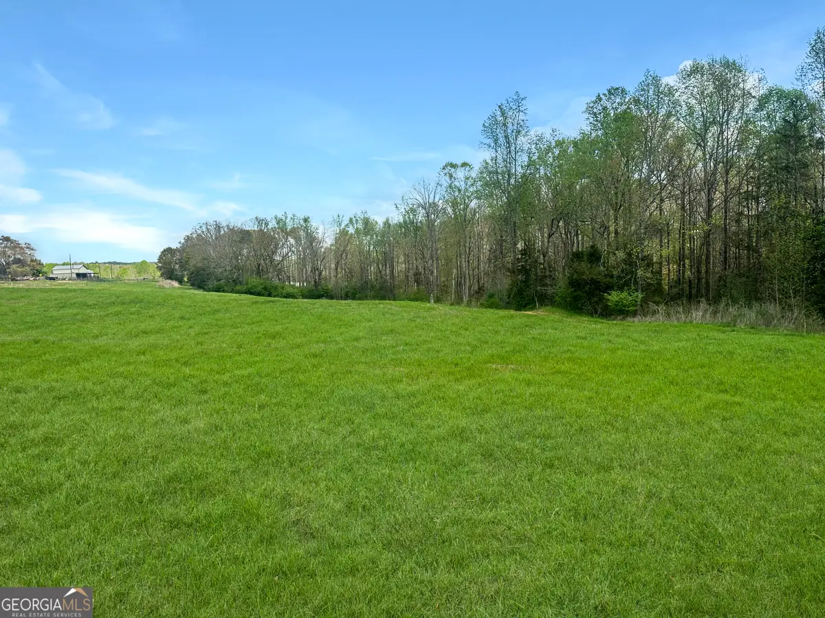 961 Gooseneck Road #LOT 3, Eastanollee, GA 30538 - #1
