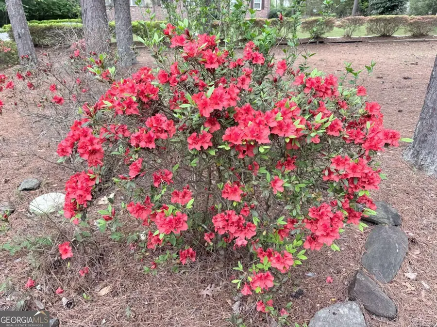 3033 Riviera Drive Nw, Conyers, GA 30012 - #3