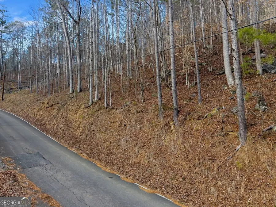 LOT 2965 Monticello Drive, Ellijay, GA 30540 - #2