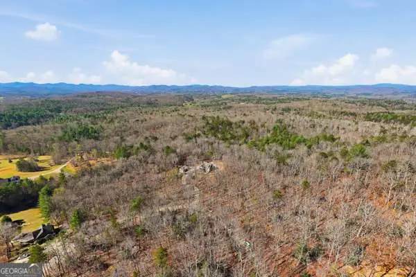 LOT 16 Pit Road, Blairsville, GA 30512 - #3