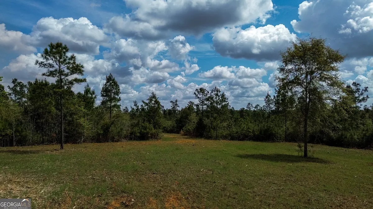 1 Harrell Road, Parrott, GA 39877 - #1