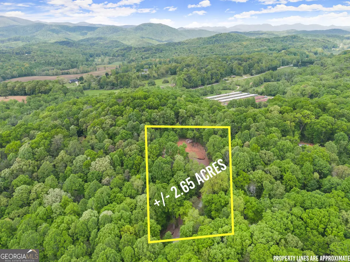 LOT 6 Meadowview Ridge, Clarkesville, GA 30523 - #1