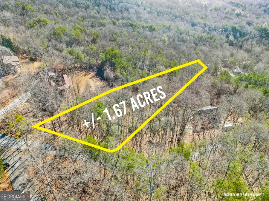 0 Starlight Drive, Sautee Nacoochee, GA 30571 - #3