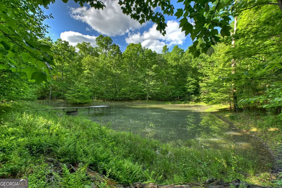 8 AC Mcnelley Road, Morganton, GA 30560 - #2