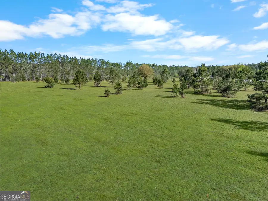 0 Old Louisville Road, Guyton, GA 31312 - #2