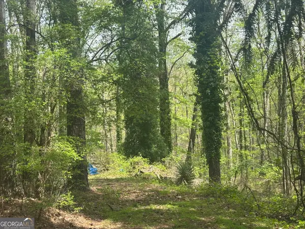 0 Yancey Road, Douglasville, GA 30135