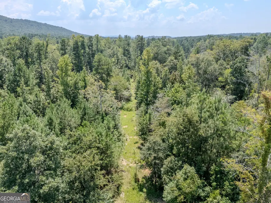 0 Radio Springs Road Sw, Rome, GA 30165 - #3