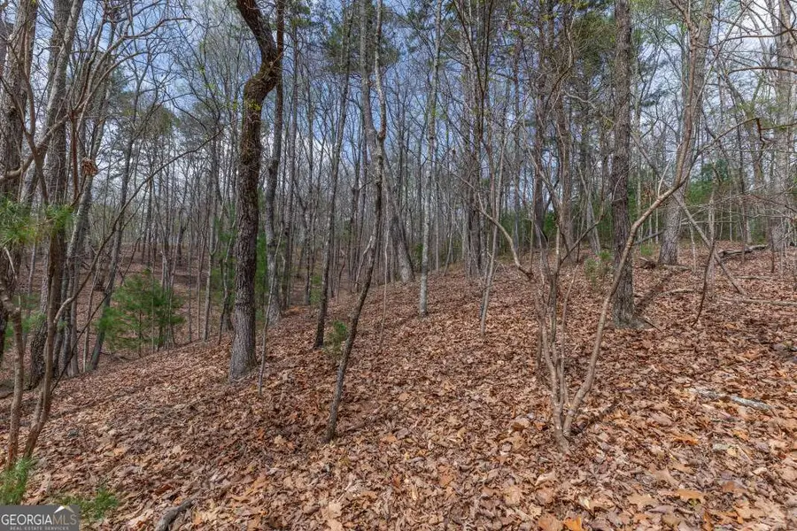 LOT 7A Glenridge Way, Ellijay, GA 30540 - #2