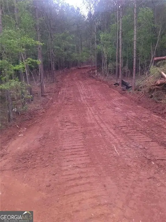 700 Gadsden Road Sw, Cave Spring, GA 30124 - #3