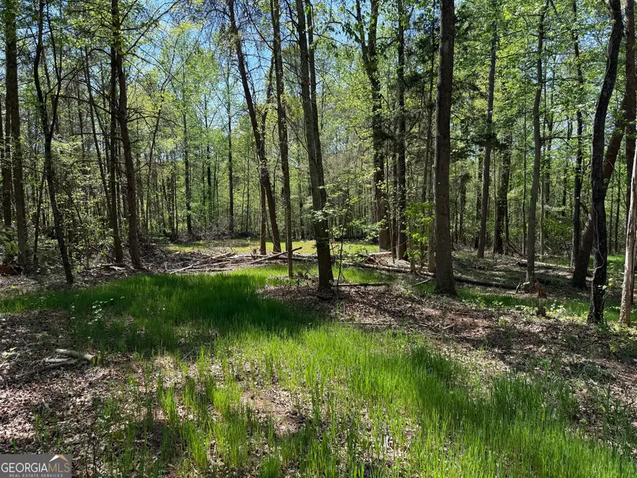 0 Panhandler Circle (2c), Maysville, GA 30558 - #2